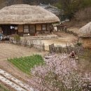 마음의 고향 이미지