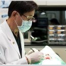 보람치과의원 이미지