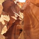 PH39(더펜트하우스 청도) | 미국서부 후기