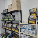 대구강아지분양 도로시펫 이미지