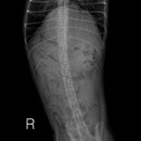 24시 에피소드 동물 메디컬 센터 이미지