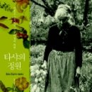 대지화원꽃 이미지