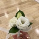 화훼장식기능사 국가자격증과정 | 화훼장식기능사 자격증 도전기 🌿 | 화훼장식기능사 국가자격증 취득 전문과정(이론+실기)