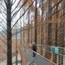 스카이타워 이미지