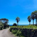 삼달리-16 | 남편 따라 제주동쪽2 (맛집 발견! 성산 삼달리 주어코지 국수창고)
