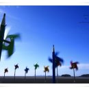 바람불어 좋은날 이미지