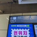 서울 가볼만한 장미명소, 천호동 장미마을(가는방법)