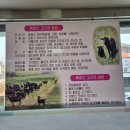 장모님염소탕 이미지