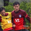 호돈스 이미지