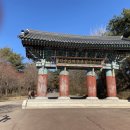 아드리아모텔 이미지