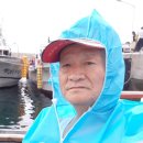 제주코리아 이미지