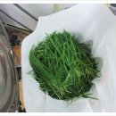 늘푸른건강마을 이미지