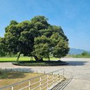 성밖숲정보센터 이미지