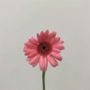 봉PC | 2월의 위시리스트 봉 개 박 두