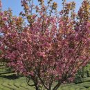 초록빛하루 이미지