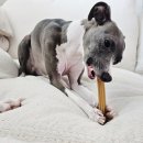 오베르 | 오베르 가수분해 덴탈스틱 후기, 콜라겐 간식으로 구강관리까지