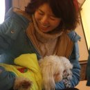 오시나래 이미지