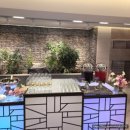 트로트 공주 콘서트 | [계약o 실사o] 더링크홀투어/가든홀/베일리홀/화이트홀/27년 4월 견적 댓글