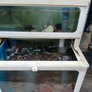 해물포차바다이야기 이미지