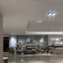 11650-7-27-9 | [결혼준비 #7] 브리저튼 저택 감성? 노블발렌티 삼성점 27년 투어 솔직 후기 (견적 공유 O)