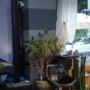 댕이골전통음식거리 이미지