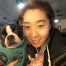 펀더멘탈무브먼트 이미지