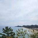 역시 바다는 이미지