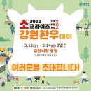 춘천시청 이미지