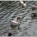 수성랜드 이미지