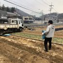 황금퇴비비료