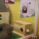 그림책놀이와 비주얼 리터러시 | 청라 키즈카페 실내 동물원 쥬라리움 청라점 주말 후기