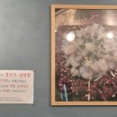 소는누가키워 이미지