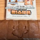 덕개 | 픽셀리빵 3탄 덕개의 멍스테라 가격 맛