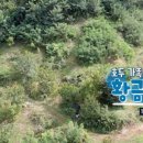 산청애 이미지
