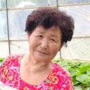 순로컬푸드 이미지
