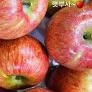 대성야채과일 네이버블로그