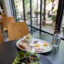 테라브런치 이미지