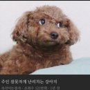 썸네일 - 울주군 온양로 23 | 썸네일