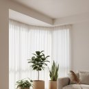 플랜테리어 이미지