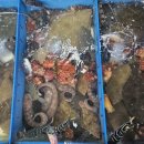 24번횟집 - 남구 장생포고래로288번길 24 | 24번횟집