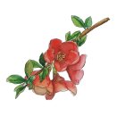 대정요양병원 이미지