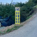 비룡농장 이미지