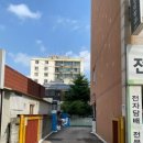 몰리헤어인천