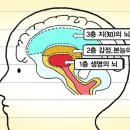 행복숲유치원 이미지