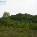 안성면116 이미지