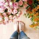 준오농장 이미지