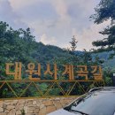 해우뫼 08월 정기산행 ...산청 대원사 계곡길 이미지