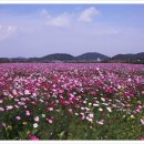 김양규한의원 이미지