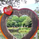 종달리수국길 | 제주 서귀포 수국길 혼인지후기