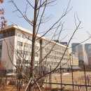 수루배 3단지 이미지